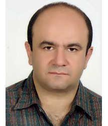 پیمان حکمتی