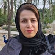 تصویر دکتر سیده آنیتا دریاباری متخصص زنان، زایمان و نازایی در بوشهر