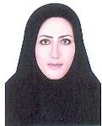 تصویر دکتر الهه مهری متخصص داخلی در داراب