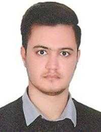 مجتبی خاجوی قره میرشاملو