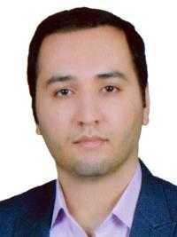 سیدوحید ملک حسینی